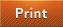 Print button